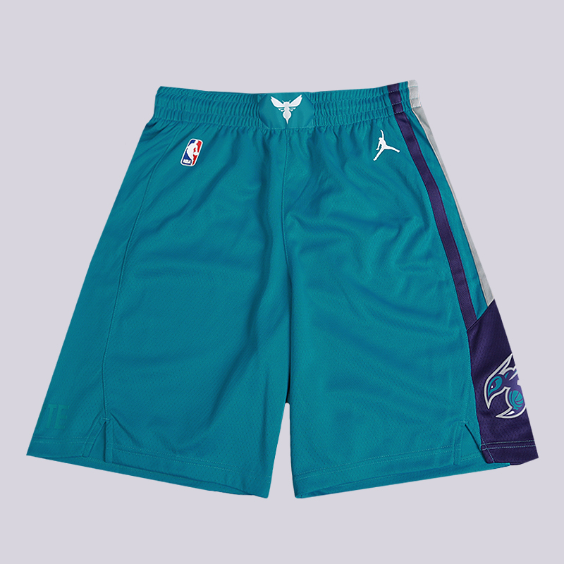 мужские голубые шорты Jordan NBA Charlotte Hornets Jordan Icon Edition Swingman 866785-428 - цена, описание, фото 1